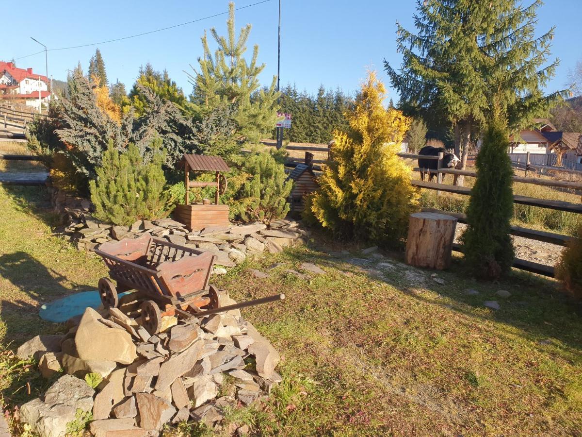 Chalet 888 Cottages Palyanytsya Esterno foto