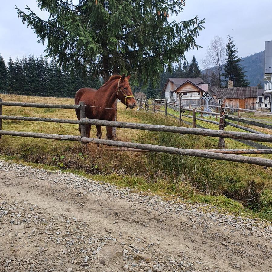 Chalet 888 Cottages Palyanytsya Esterno foto
