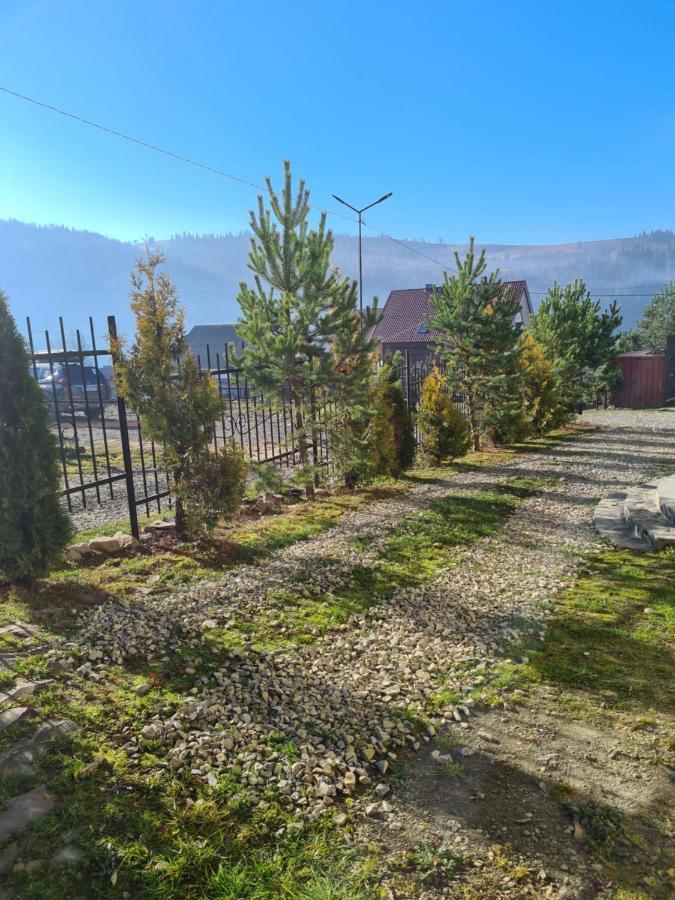 Chalet 888 Cottages Palyanytsya Esterno foto