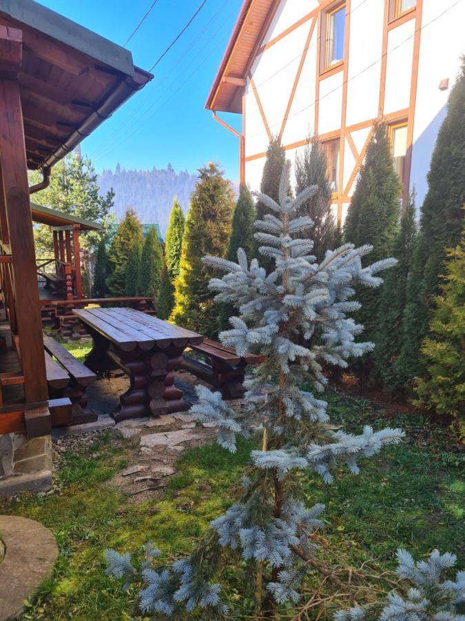 Chalet 888 Cottages Palyanytsya Esterno foto