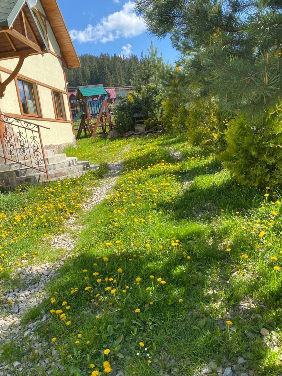 Chalet 888 Cottages Palyanytsya Esterno foto